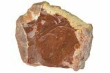 Ethiopian Chocolate Opal Nodule - Yita Ridge #211278-1